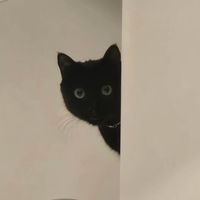 original sound - slaslaa