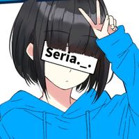 seria0208