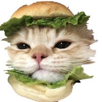 オリジナル楽曲 - ꧁ঔৣ♚☻so︎︎rakiti☻♚ঔৣ꧂公式