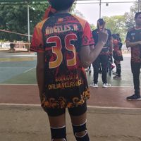 reibelhys4
