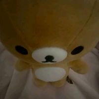 オリジナル楽曲 - 📸✨