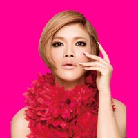 ikkochan_official