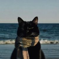 radio_dem_muon
