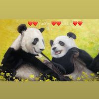 nhạc nền - Panda🐼❤️