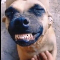 lnwza555552