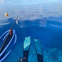 spearfishingtrolling_kdv