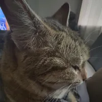 original sound - mako.cr