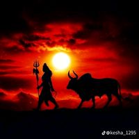 navinteddylover01