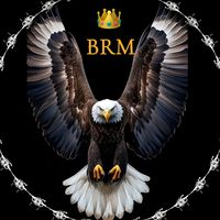 barhoom484