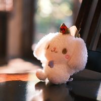 ruru_to_odekake