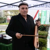 orijinal ses