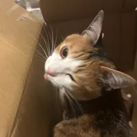 そう僕がうーたん