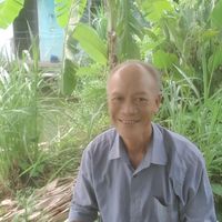 nhạc nền - TRẦN QUÝ HOÀNG