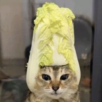 mr.cat.thanos