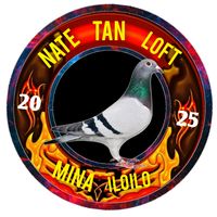 original sound - Nate Tan