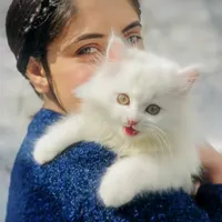 original sound - derywalbaby27