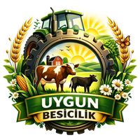 uygun.besicilik