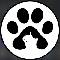love.for.cats09