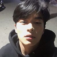 sy_br_fgf