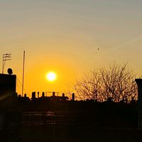 sol_0803