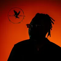 original sound - mduduzi_ncube