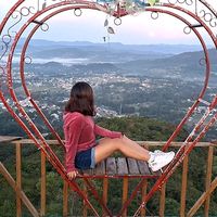 .diana.cstg