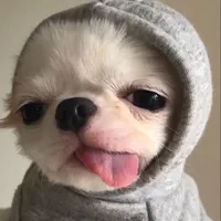 original sound - mei.2209