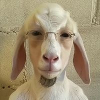 isosvdlol
