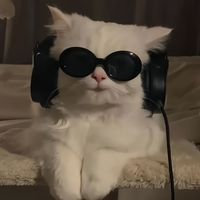 suara asli - koyziwapreset