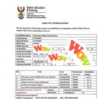 wiwo_plumbing