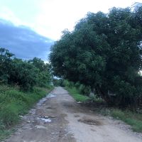 elizabet_1341