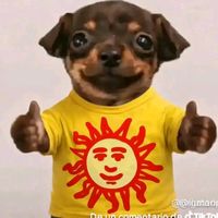 solrumboal2026