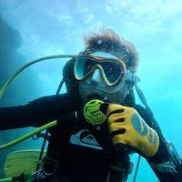 original sound - Fit a Dive 💪🤿🫧