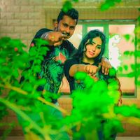 nilu_online_