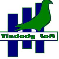tindody2
