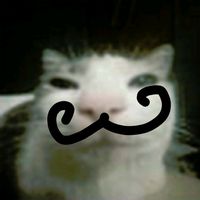 leomor1_