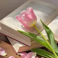 original sound - rose.ahmed717