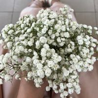 original sound - Regina Phalange