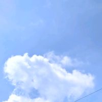 suara asli - vixong
