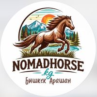 nomadhorse.kg
