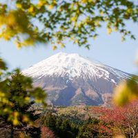 mainichifujisan