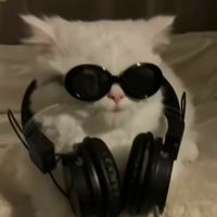 オリジナル楽曲 - mi