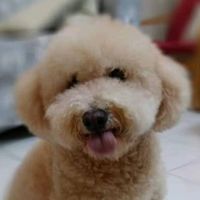 user6102114408114