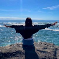 .brisa.20