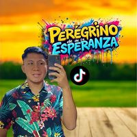 _losperegrinos.enaccion_