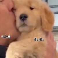 giveforu_