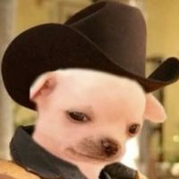 zorro_5065
