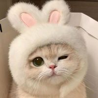 เสียงต้นฉบับ - 🍓⊹ ̊+♡ bb ⊹ ̊+♡🍓