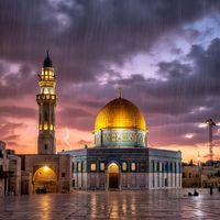 ahmedyassin8439