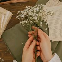 mano_8886